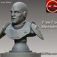 Star-Wars-Grand-Inquisitor-statue-Bust-Free-3D-print-model.jpg Star Wars - Grand Inquisitor - statue Bust - Free 3D print model