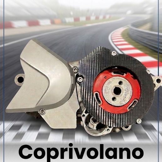 Copri volano rotax 122 - Aprilia rs 125