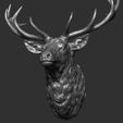 23.jpg Deer head
