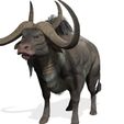 22.jpg DOWNLOAD Buffalo 3D MODEL - 3D MODEL ANIMATED - FOR 3DS MAX - BLENDER 3 FILE - UNITY - UNREAL - CINEMA 4D - FBX - OBJ - MAYA - BUFFALO GREY