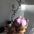 ED7F704A-6560-44D6-8A24-56ED4EA68777.jpeg Bowsette