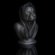 ShopA.jpg Rottweiler dog - with cape, bust, base