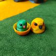IMG_20260128_151910436.jpg Parrot Nesting Dolls