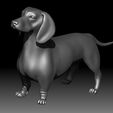 5.jpg Dutch hound Dachshund 3D printable model