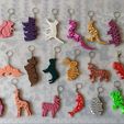 photo1720093395-3.jpeg 20 FLEXI ANIMAL ARTICULATED KEYCHAIN for  keys and backpack
