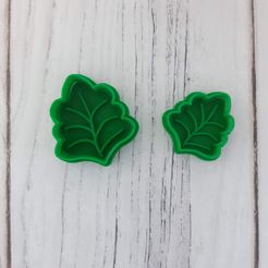 20210611_164753.jpg Cutter leaf - Cutter leaf - biscuits