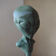 WhatsApp-Image-2022-03-04-at-5.32.02-PM.jpeg GREY ALIEN BUST MODEL