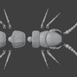 2026-05-10_23-57-41.jpg Scolopendra