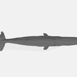Whale_T.png Whale low poly