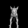 ch.png Chupacabra