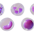 WB_Render_1.png White Blood Cells