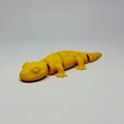 20260221_150032.jpg Salamander STL 3D Printable Animal Figurine