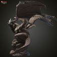 9.jpg Ysera Dragon