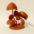 ec0d620d36c663aa10b74f40ac60e969_display_large.JPG Mushrooms