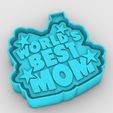 worlds-best-mom_2.jpg worlds best mom - freshie mold - silicone mold box