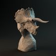 Triceratops_bust_1.jpg Triceratops bust - pre-supported dinosaur head