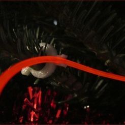 clip_preview_featured.jpg Free STL file EL Wire Christmas Tree Clip・3D printable model to download