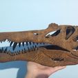 spinosaurus-aegyptiacus-skull-3d-print-model-22.jpg Spinosaurus skull 3d print