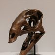 IMG_20200304_001152.jpg Dryosaurus Altus  - Dinosaur Skull