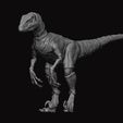 r5.jpg Modelo de figura Raptor