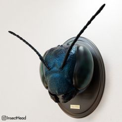 insect-head-mason-bee-3d-model-edcaf05c3f.jpg STL file Insect Head Mount - Mason Bee・3D printing design to download