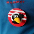 IMG_20230426_163145_643.jpg Raven sock badge button