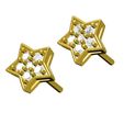 09.jpg Star Stud Earring