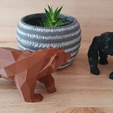 Ape02.png APE OF WALL STREET - SYMBOLS OF WALL STREET - LOW POLY ANIMALS - MARKET IS BANANAS - INVESTOR SYMBOLS