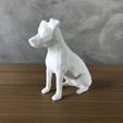 IMG-20240506-WA0024.jpg Jack Russell Low Poly