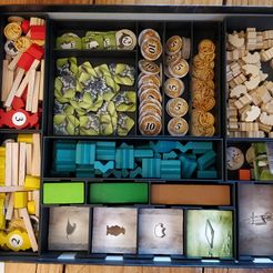 Free STL file Dominant Species Board Game Box Insert Organizer 📦・3D  printer model to download・Cults