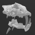 Screenshot-112.png Saber tooth skull HYBRID