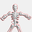 Esqueleto-Foto-1.png Skeleton