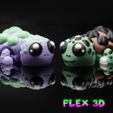 Turtle-Chunky-2.jpg Flex 3D Schildkröte Chunky