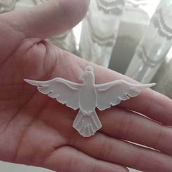 Paloma.jpeg Dove of the Holy Spirit.