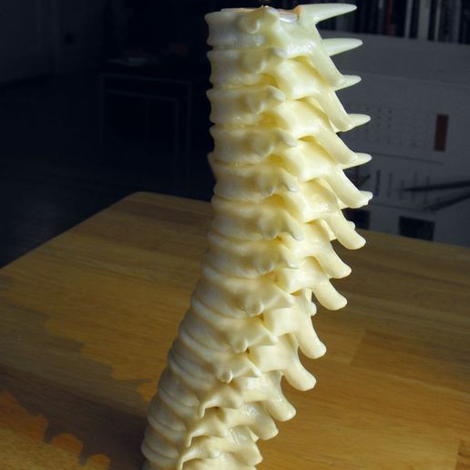 Spine_candle_holder01_display_large.jpg Bougeoir pour la colonne vertébrale