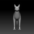 dog333.jpg Dog realistic 3d model - cute dog - toy for kids - decorative dog