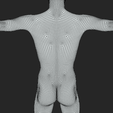 11.png Human Body Mesh In T-Pose
