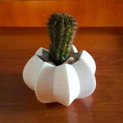 Maceta 3 cap 4.jpg Fichier STL Pot cactus design bio・Modèle à télécharger et à imprimer en 3D