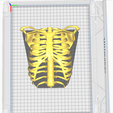 15.png 3D Model of Ribs Cage