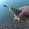 Beetle-fishing-lure-12.jpg Beetle fishing lure