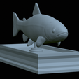 Trout-statue-25.png fish rainbow trout / Oncorhynchus mykiss statue detailed texture for 3d printing
