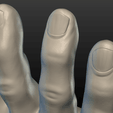 Hand-11.png Hand
