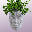 Untitled-1.png FACE WALL-MOUNT PLANTER ‘Butterfly  Edition”
