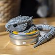 PXL_20220305_131903127.PORTRAIT.jpg Free 3D file Red-Eyed Crocodile Skink - Articulated・3D printing design to download