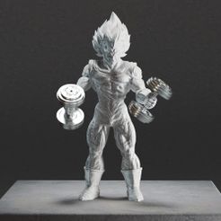 VE1.jpg Vegeta Kurzhanteln