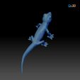 3DPrint3.jpg Namib Gecko -Pachydactylus rangaii-with full size texture + Zbrush Originals-STL 3D Print File-High Polygon