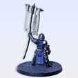 Cruzader_back.png Crusader Darkest dungeon mini v2