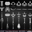 Human-Skeleton-IMM-Brushes-Sculpted-By-Yacine-BRINIS-Set-001.jpg Human Skeleton IMM Brushes