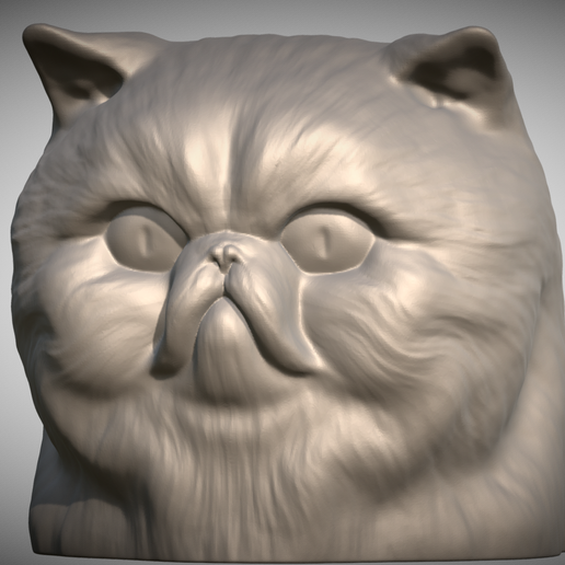 Zrzut-ekranu-2025-06-14-111257.png Persian cat head for 3D printing