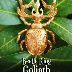 Beetle-King-007.jpg STL file BEETLE KING-GOLIATH・3D print object to download